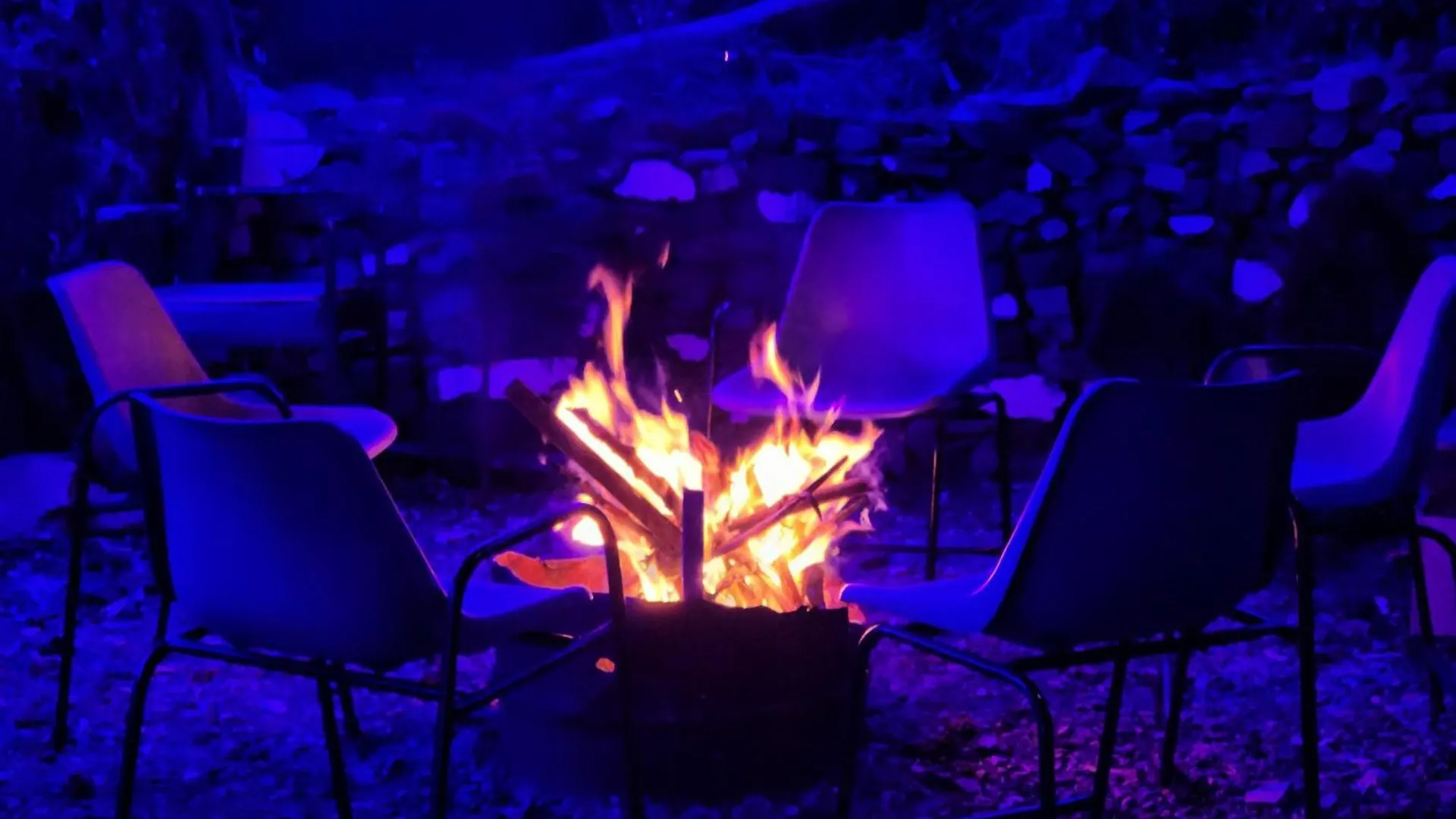 Solitude Rooms Parking And Forest View Σίμλα Ινδία