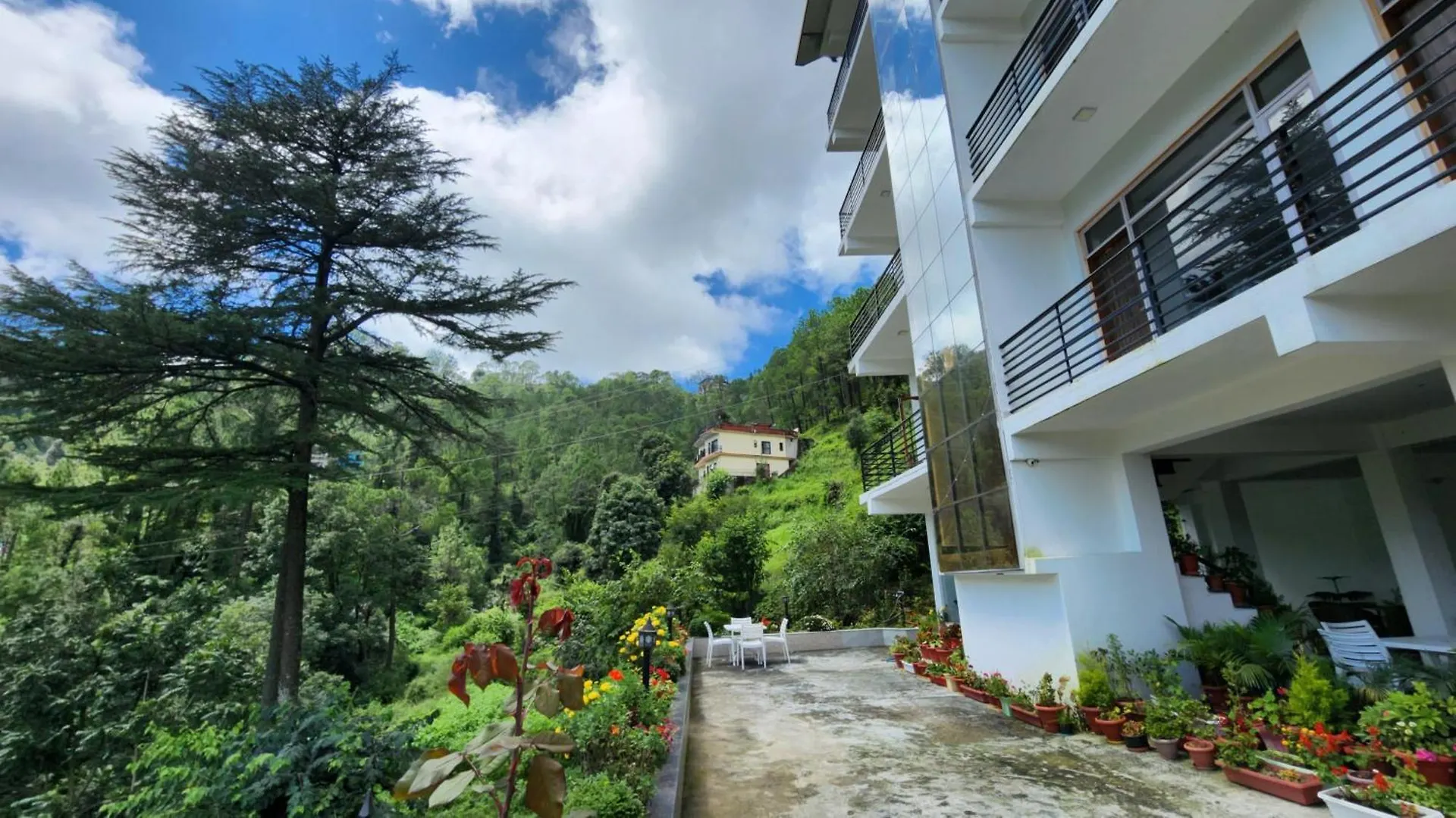 Bed and Breakfast Solitude Rooms Parking And Forest View Σίμλα Ινδία