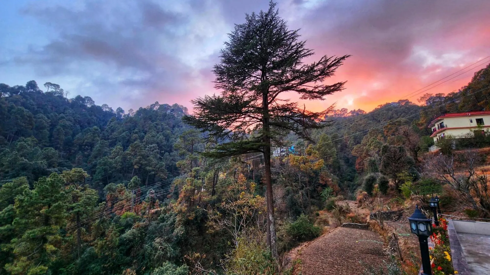 Solitude Rooms Parking And Forest View Σίμλα 0*,  Ινδία